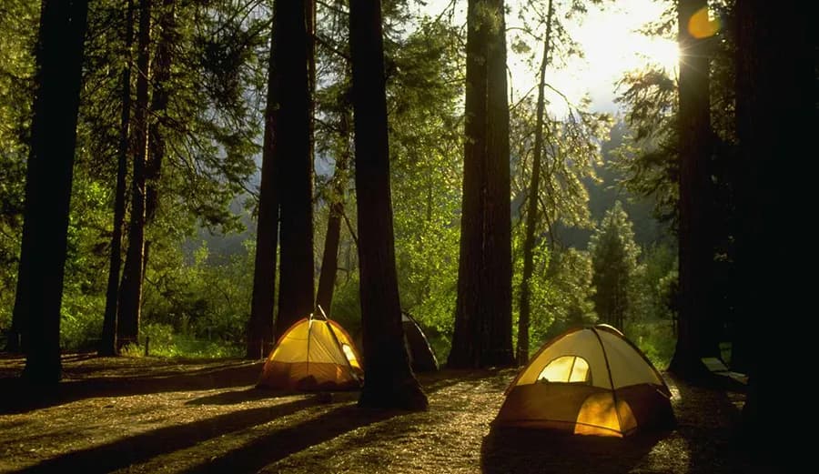 Wild camping is also popular among visitors to Yosemite National Park