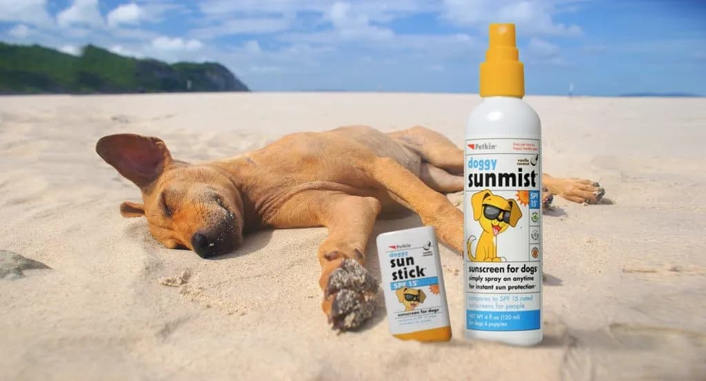 post-The 7 Best Dog Sunscreens You Need to Know About