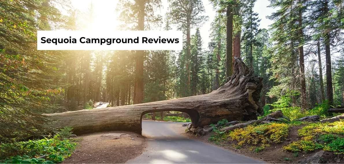 post-Sequoia Campground Reviews: Photos and Guide