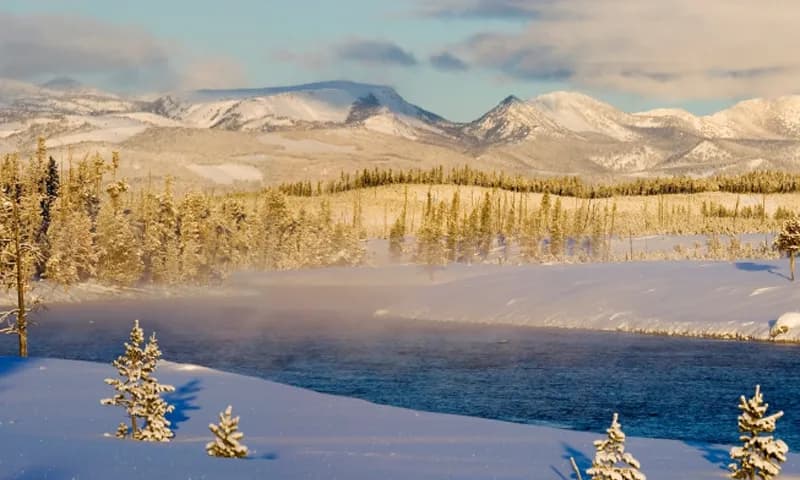 post-Best Month to Visit Yellowstone National Park: Seasonal Guide