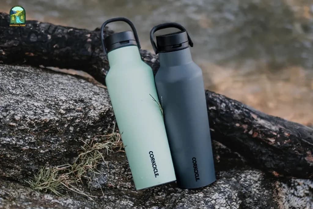 post-Top 11 Best High Quality Water Bottles: Popular Brands (Tested)