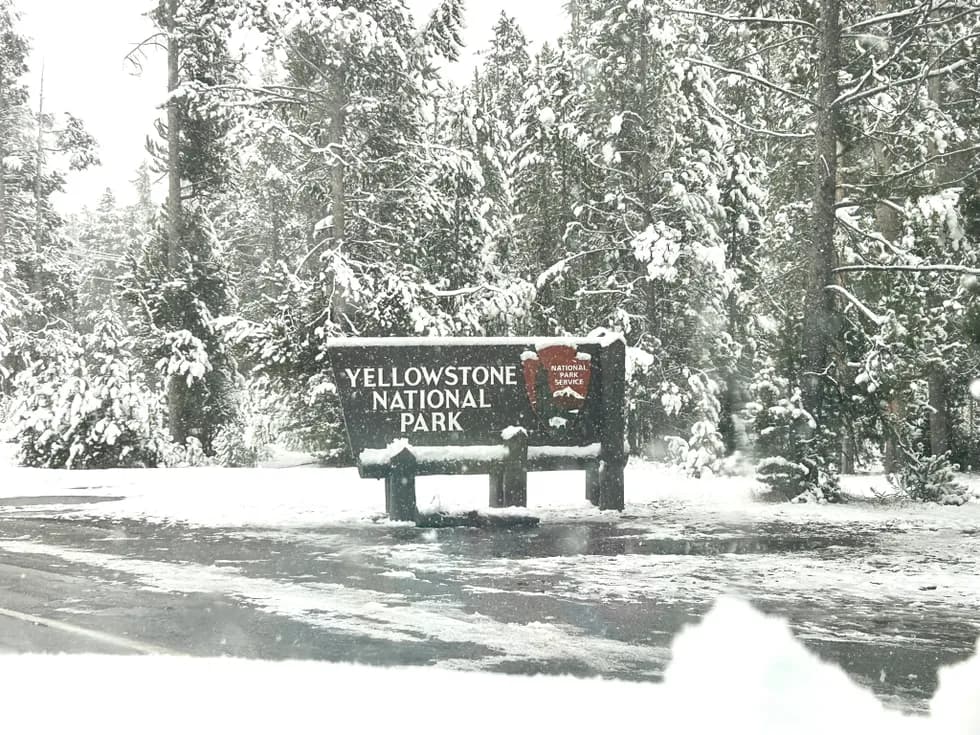 post-Snowstorm Blankets Yellowstone National Park, Creating a Majestic Display