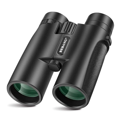 post-BEBANG 10x42 Binoculars: My Honest Take After Trail Use