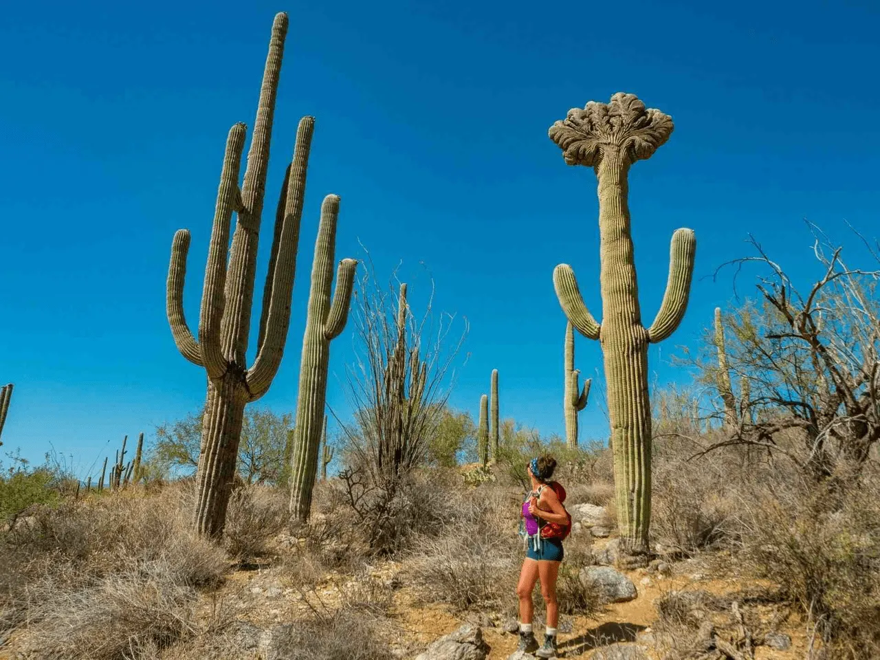There are over 165 miles of trails