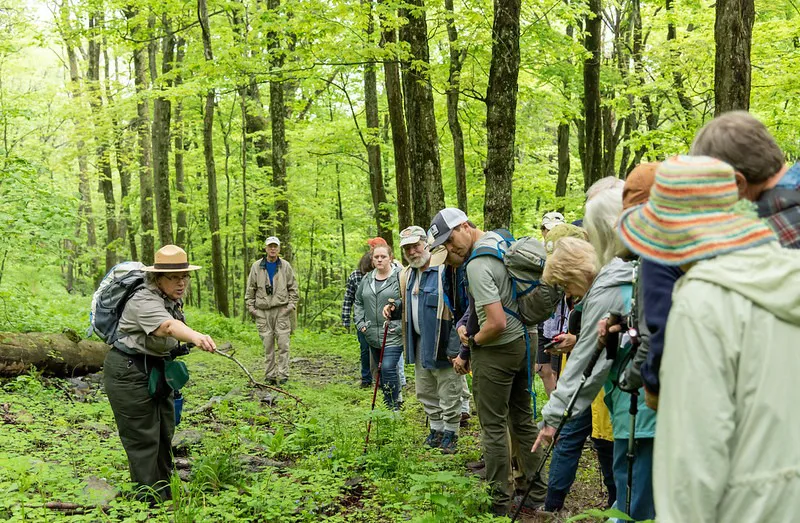 Wildflower Weekend in Shenandoah National Park