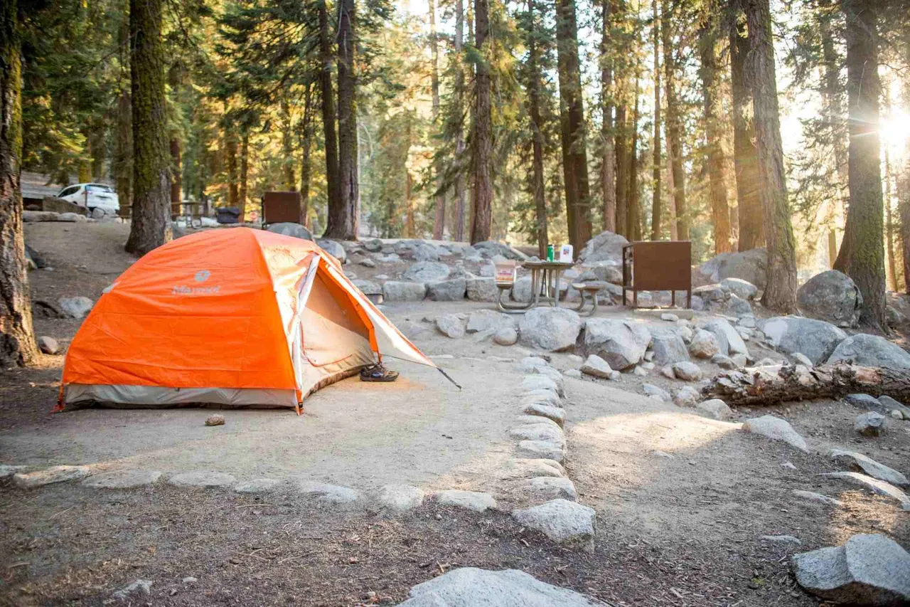 Camping trip in Sequoia National Park