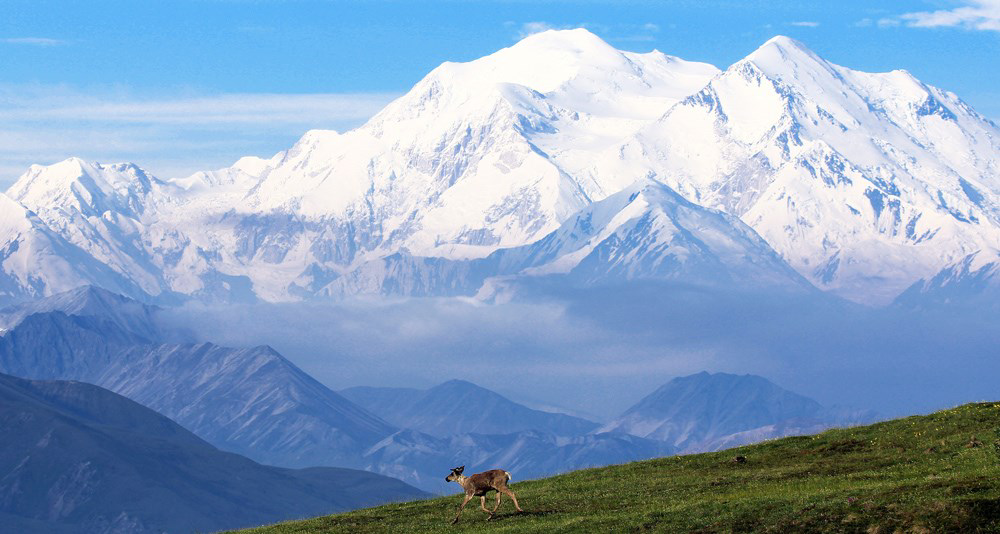 Denali National Park and Preserve encompasses a vast and breathtaking wilderness that spans over six million acres.