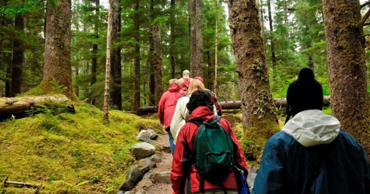 Lace-up your boots and hit the trails to explore Glacier Bay's diverse landscapes.