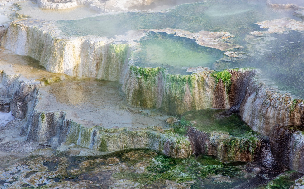 New Blue Spring "Springs" Back to Life in Yellowstone