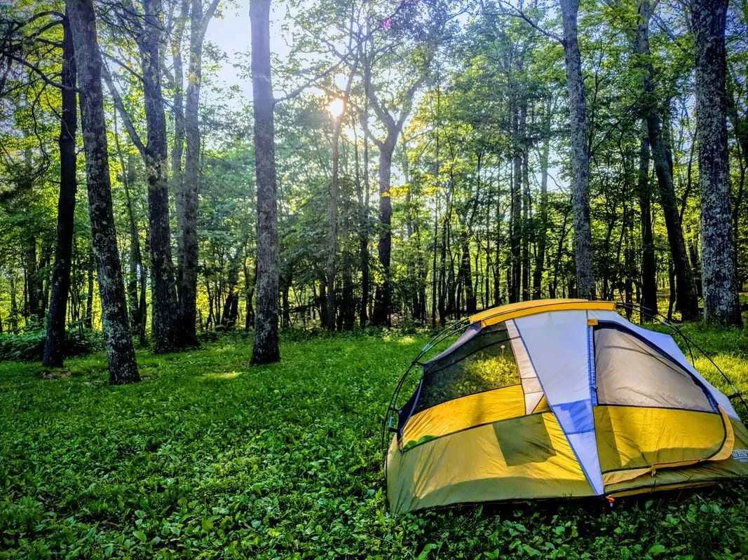 Lewis Mountain Campground