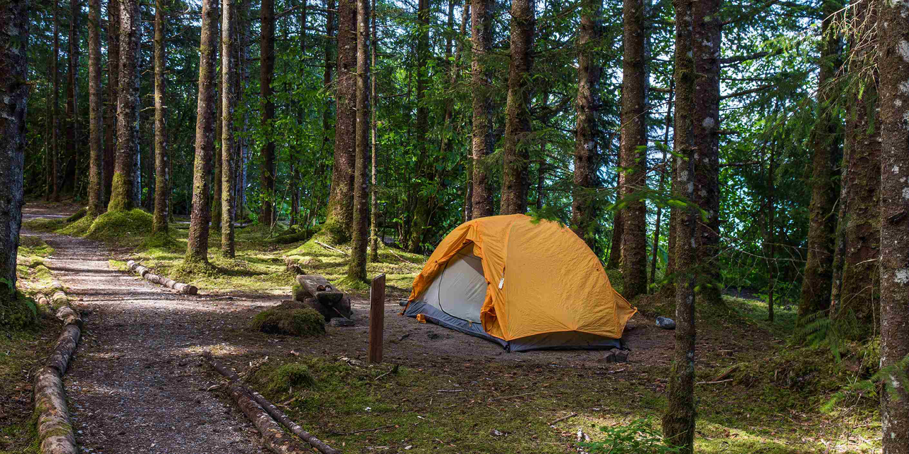 There are designated backcountry camping areas near Bartlett Cove.