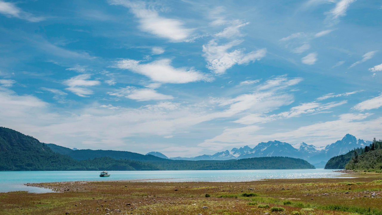 Along the Muir Inlet, there are backcountry camping.