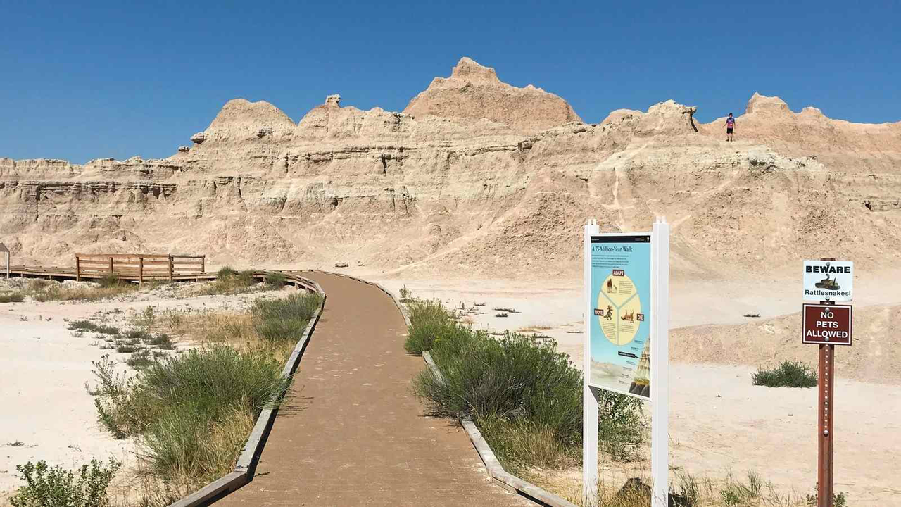 The Fossil Exhibit Trail: A boardwalk trail fully accessible to all