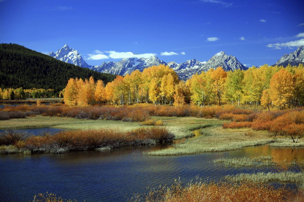 Visit Yellowstone National Park in Autumn