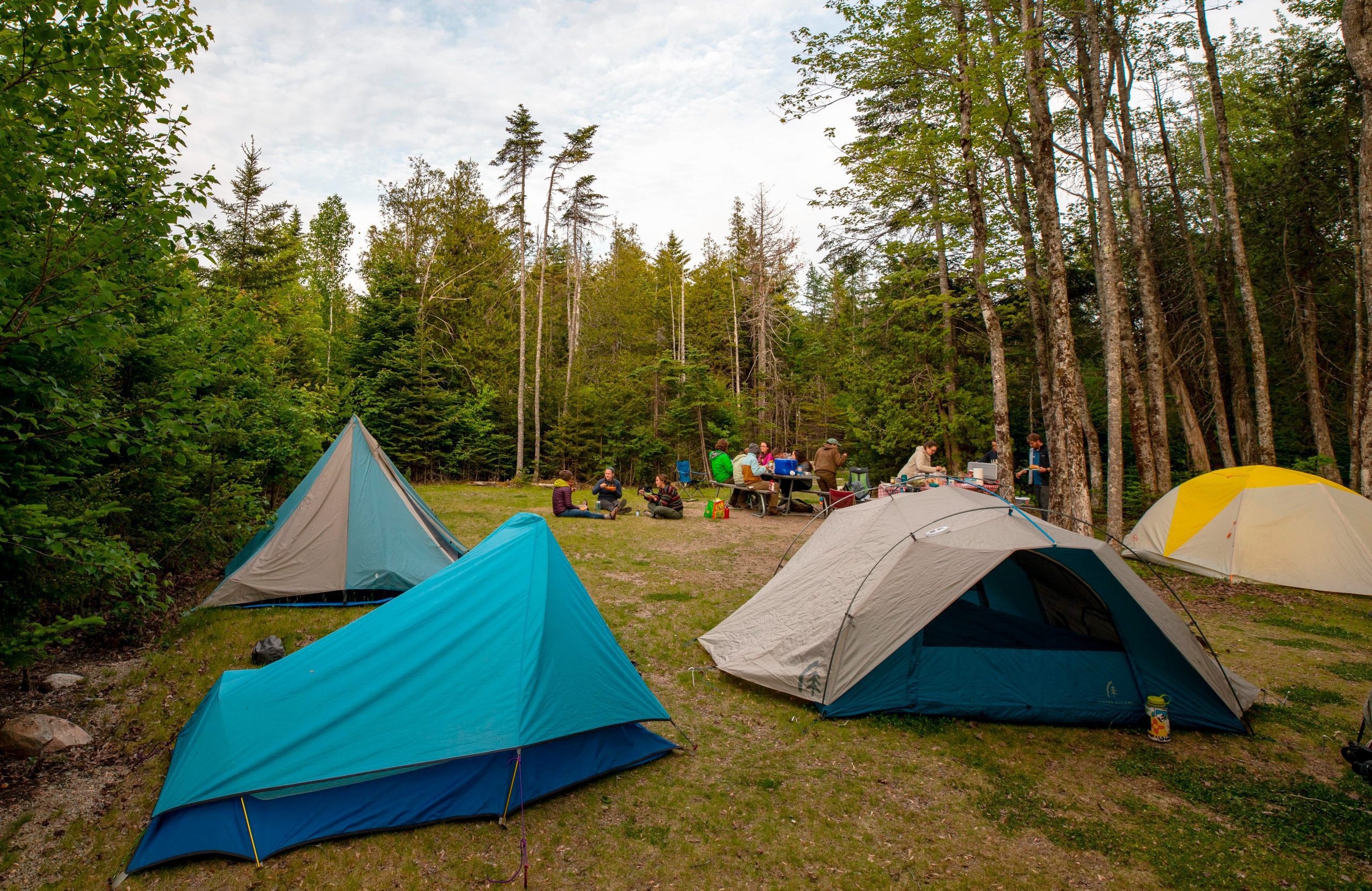 acadia national park camping