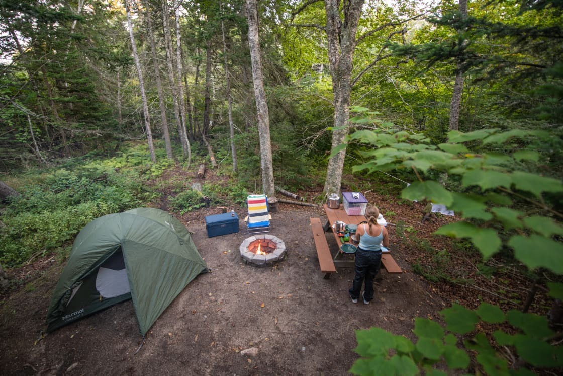 acadia national park camping