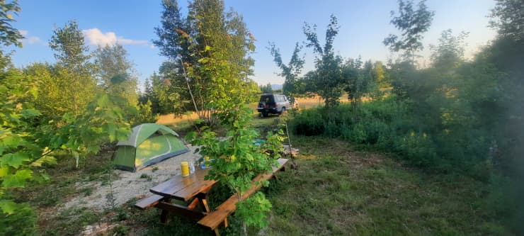 acadia national park camping