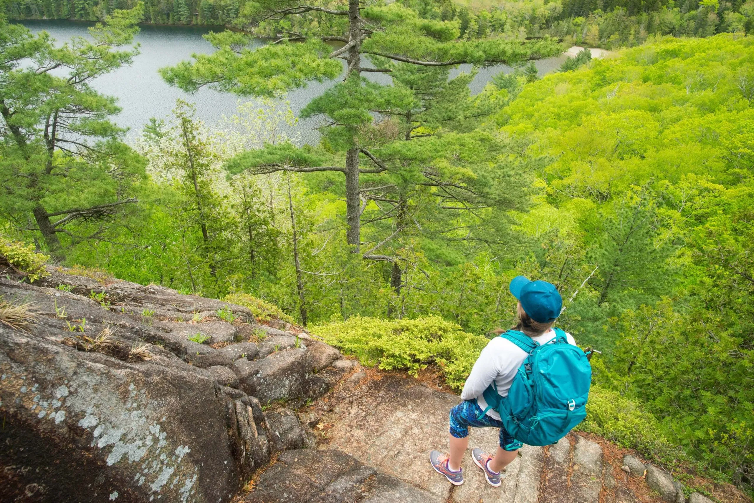 best hikes in acadia national park