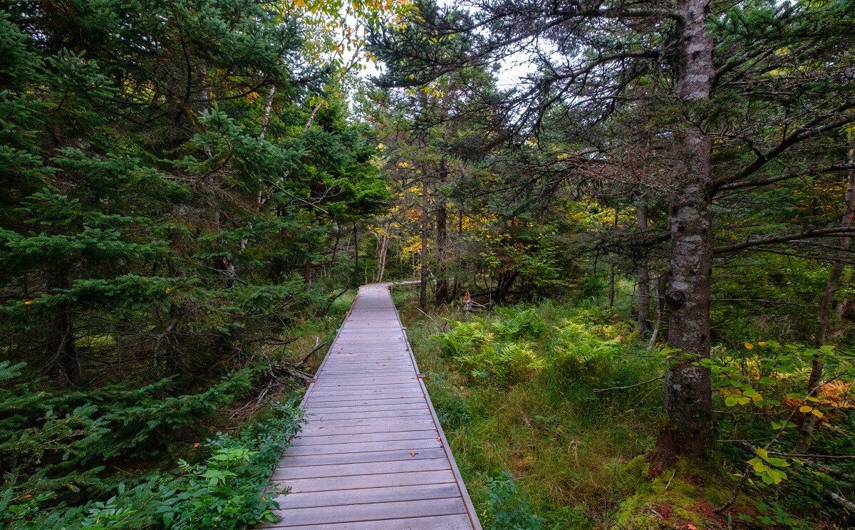 best hikes in acadia national park