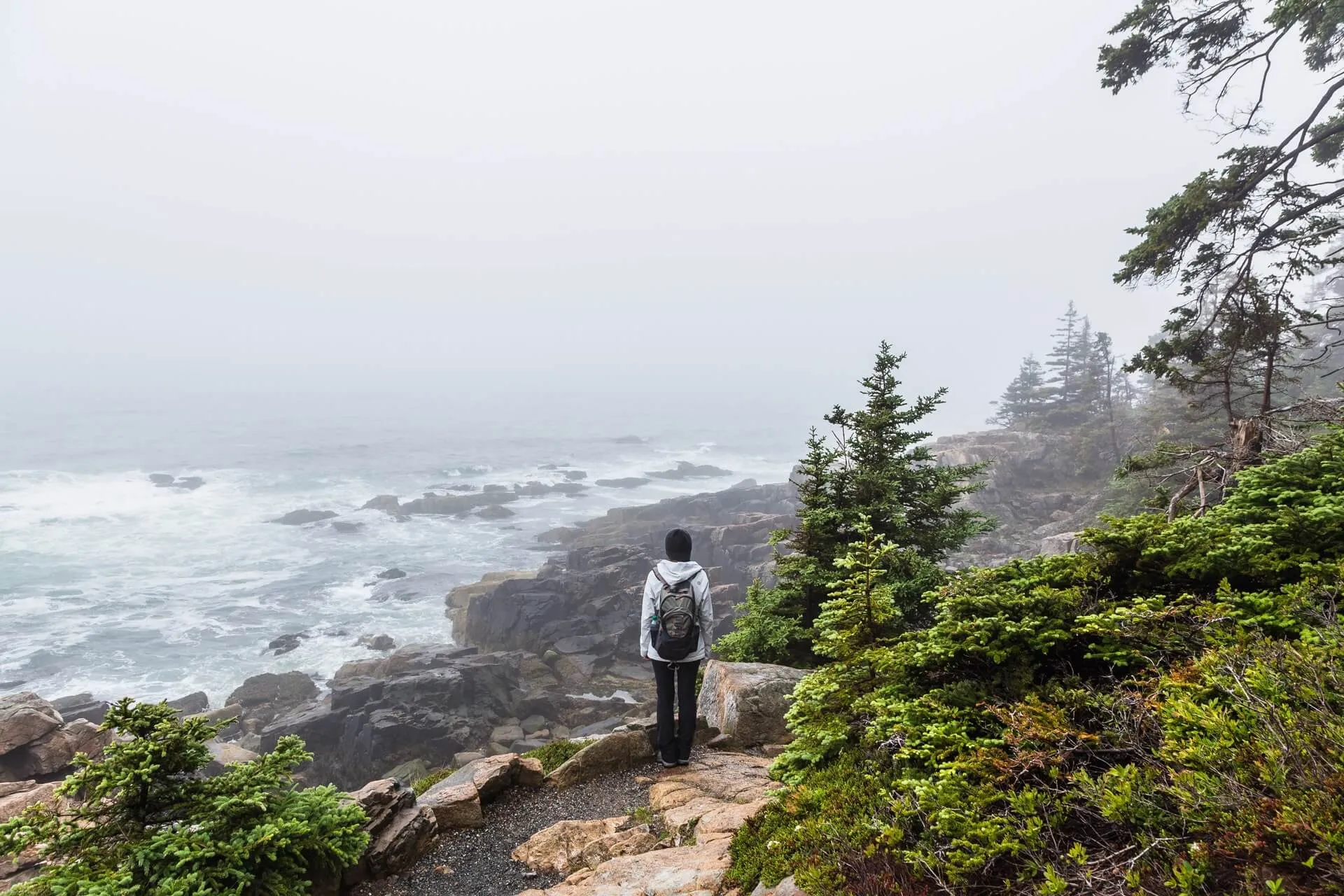 best hikes in acadia national park