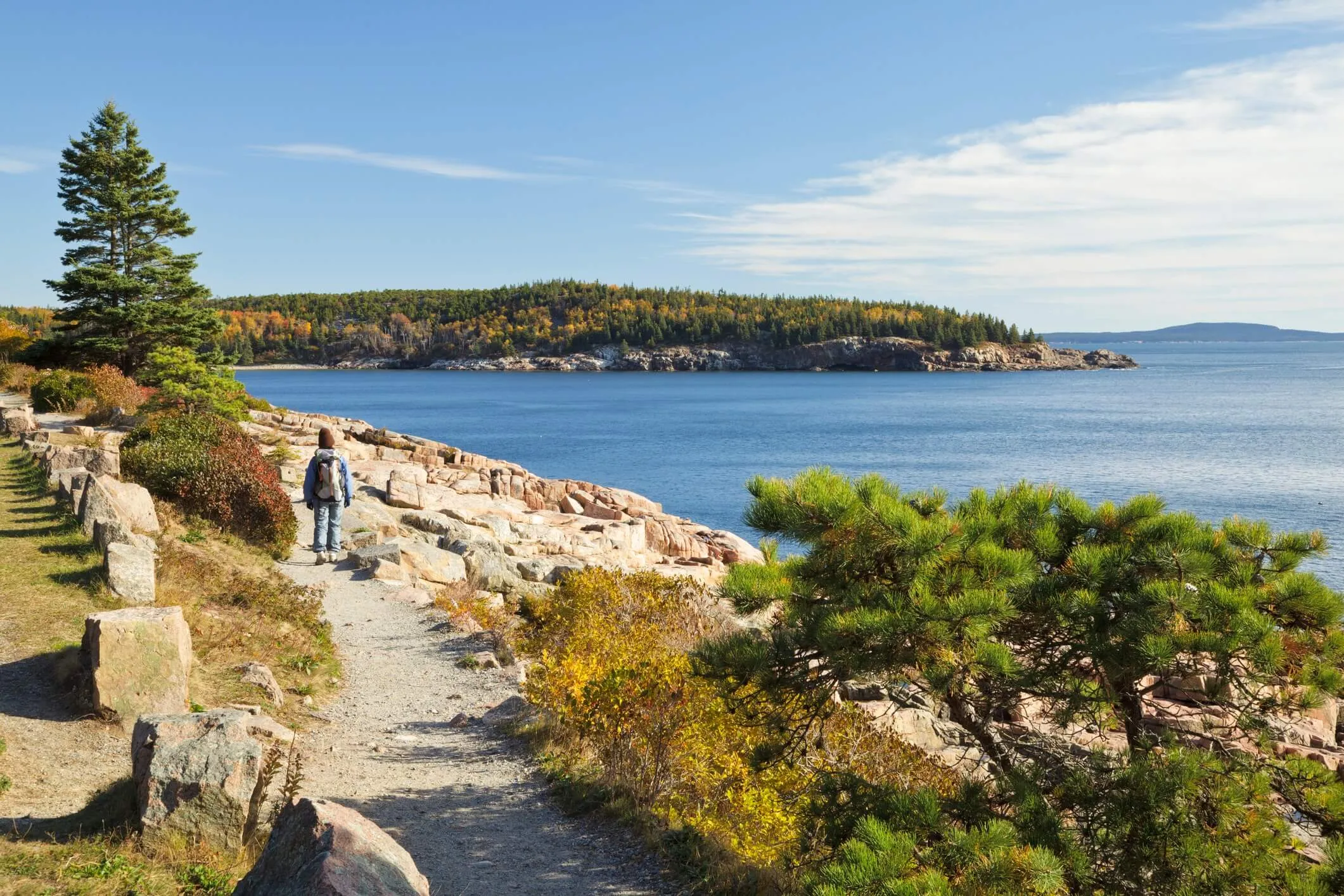 best hikes in acadia national park