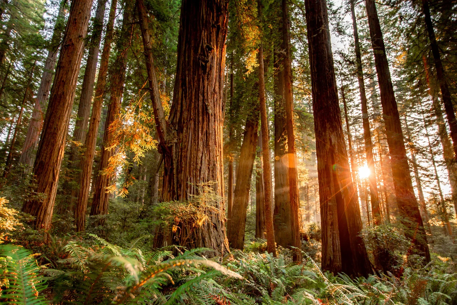 best national park attractions in the West United States