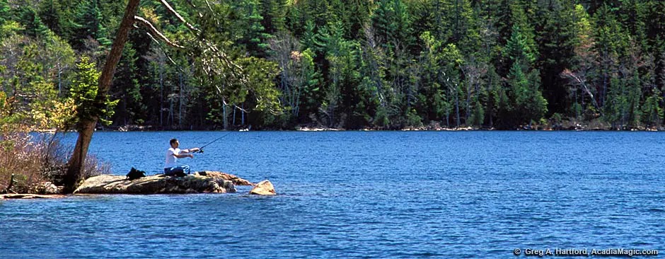 Things to do in Acadia National Park