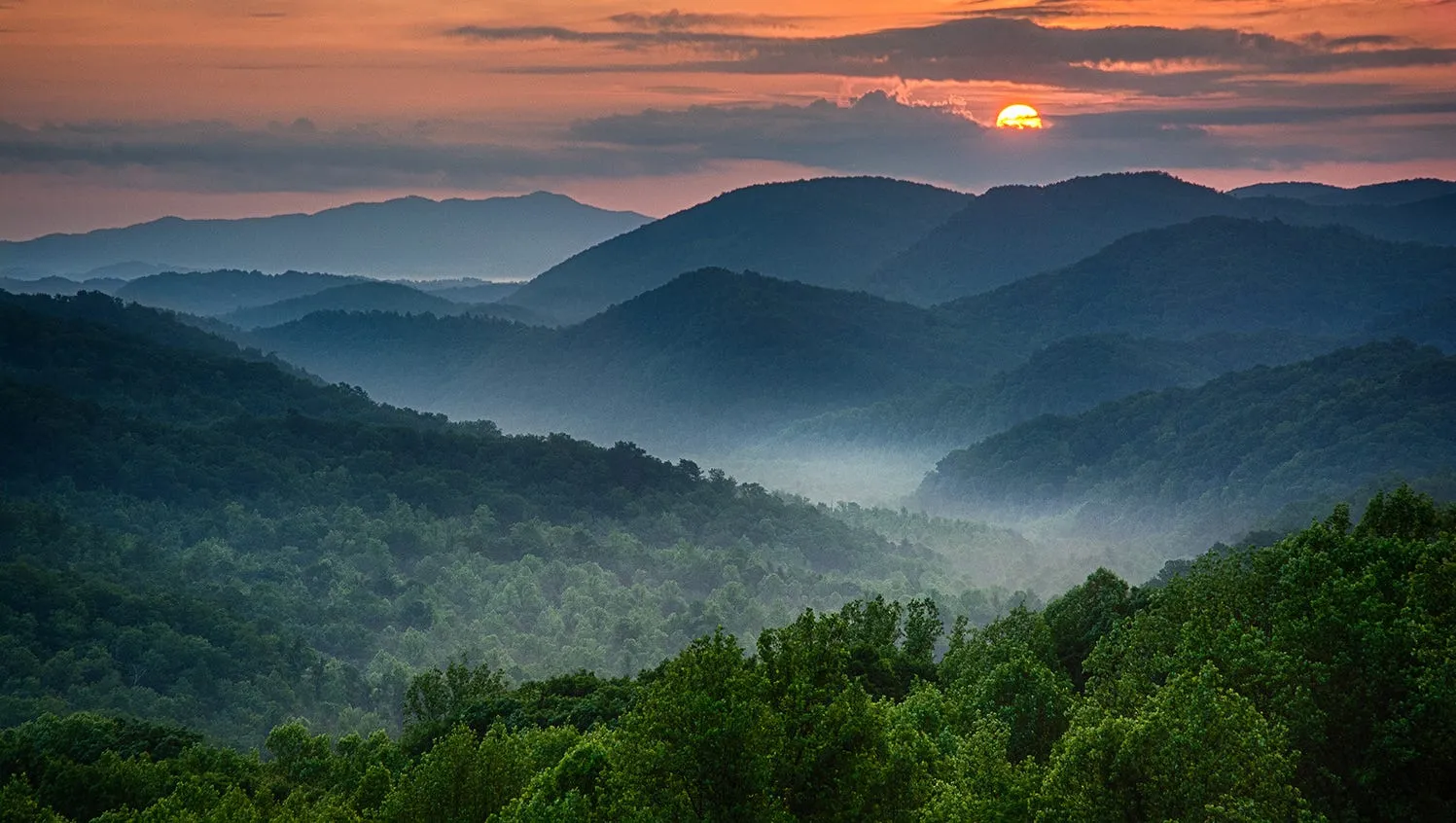 Essential things when traveling to National Park for beginners