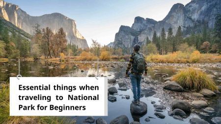 Essential things when traveling to National Park for beginners