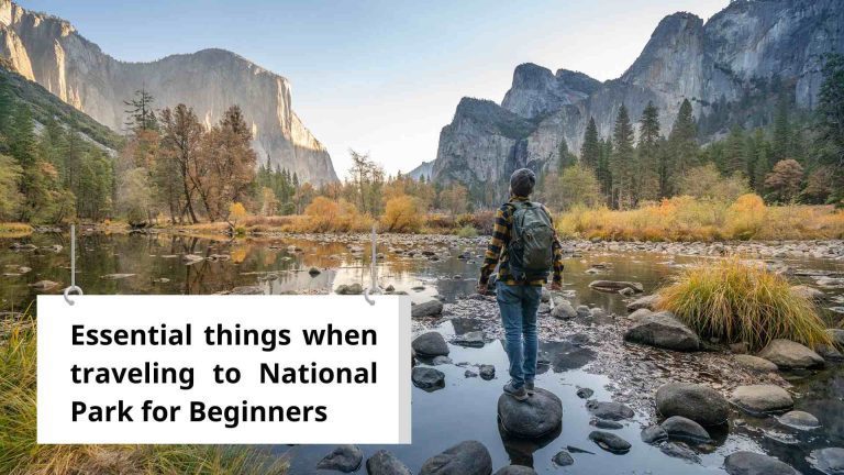 Essential things when traveling to National Park for beginners