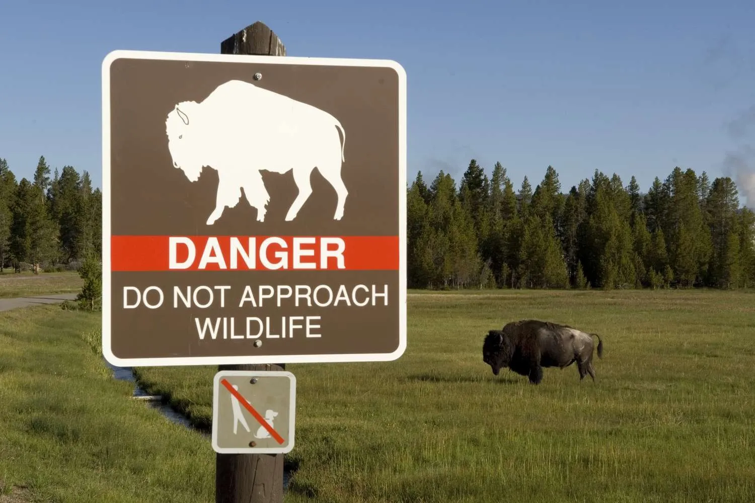 How to Hiking safety in national parks