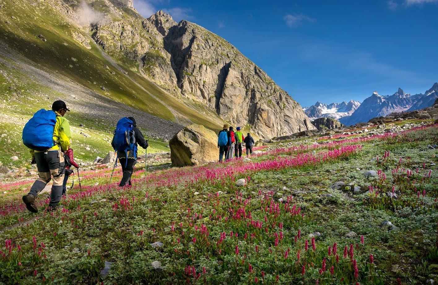 How to Hiking safety in national parks