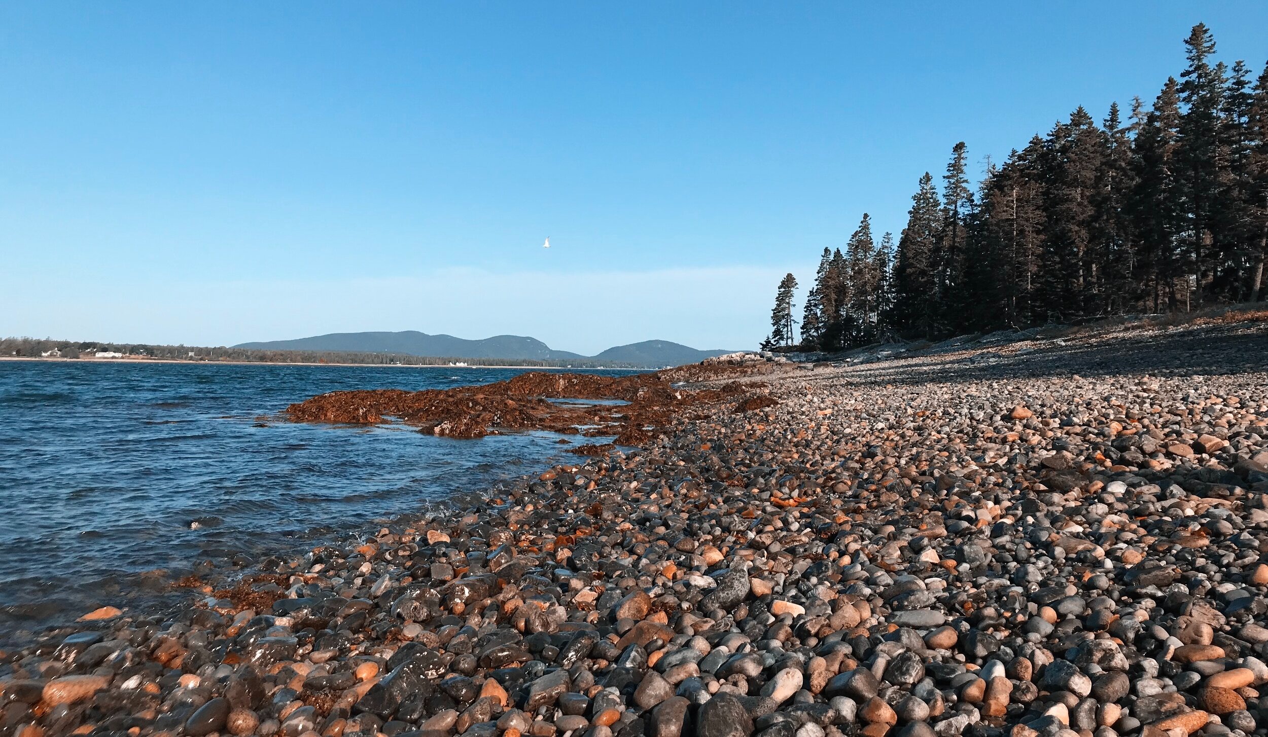 places to visit in Acadia National Park