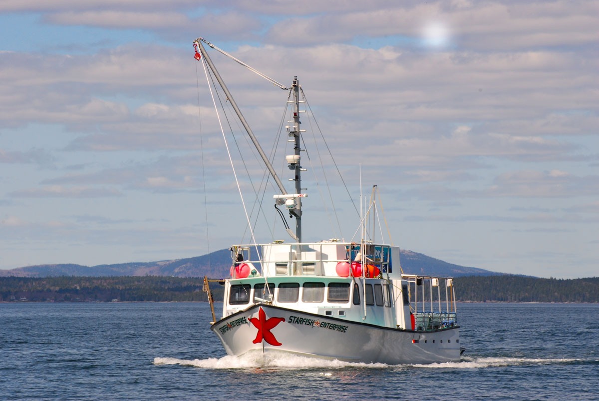 places to visit in Acadia National Park