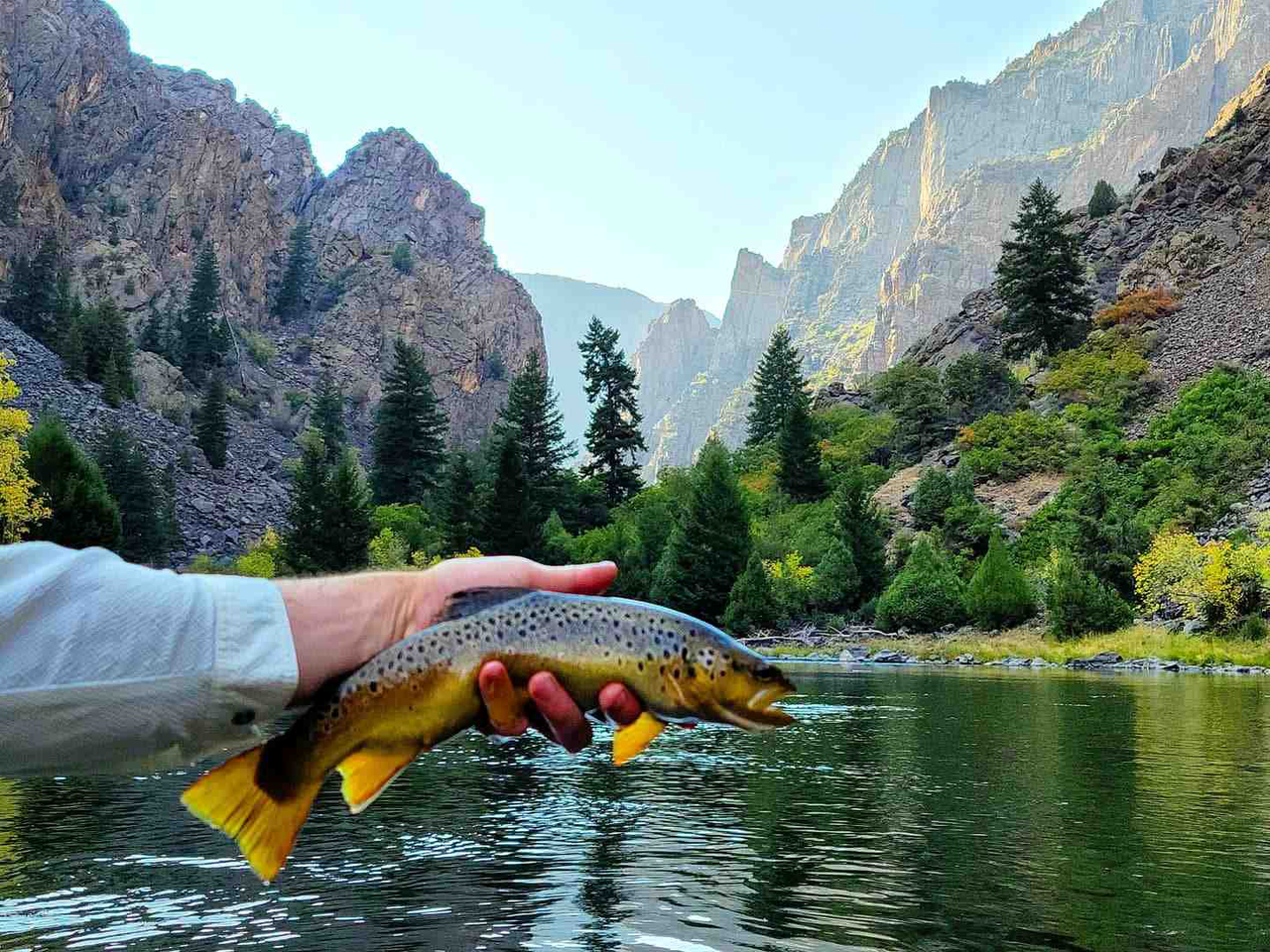 ry catching fish by hand at Gunnison River