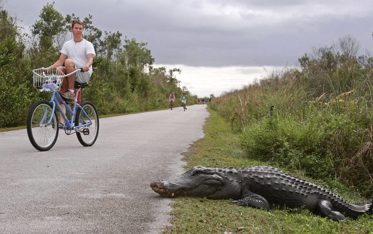 The 7 Best National Park Attractions In The East Coast, United States