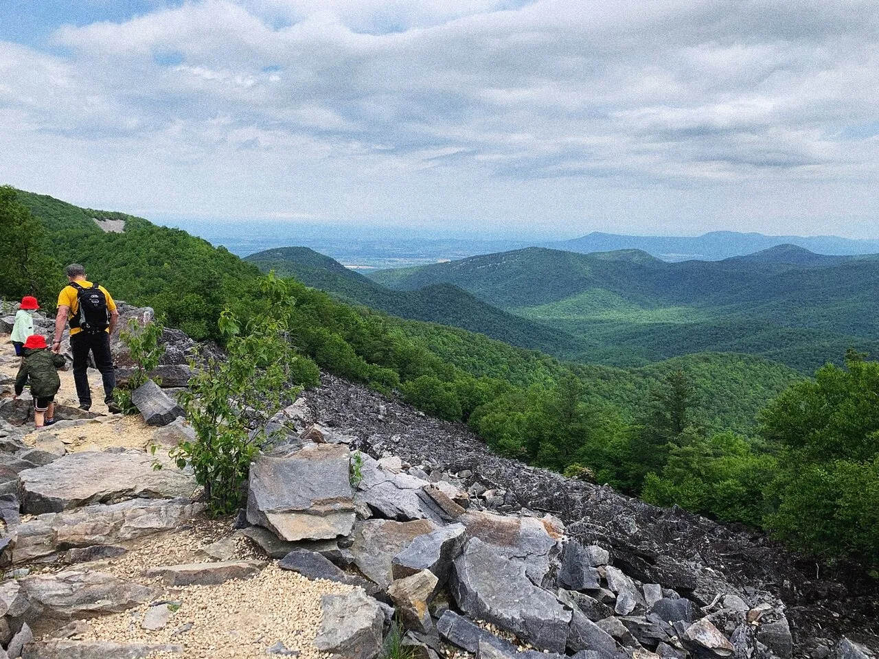 The 7 Best National Park Attractions In The East Coast, United States