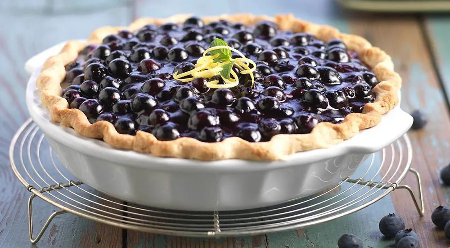 Blueberry Pie in Voyageurs National Park