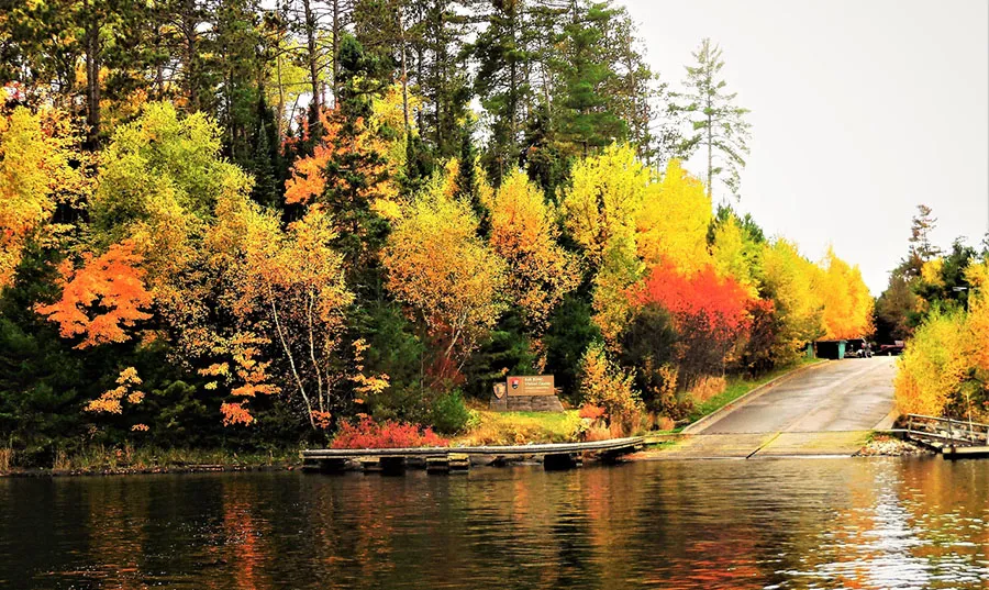 The fall at Voyageurs National Park witness the transformation of the park's landscape as leaves turn vibrant shades of red