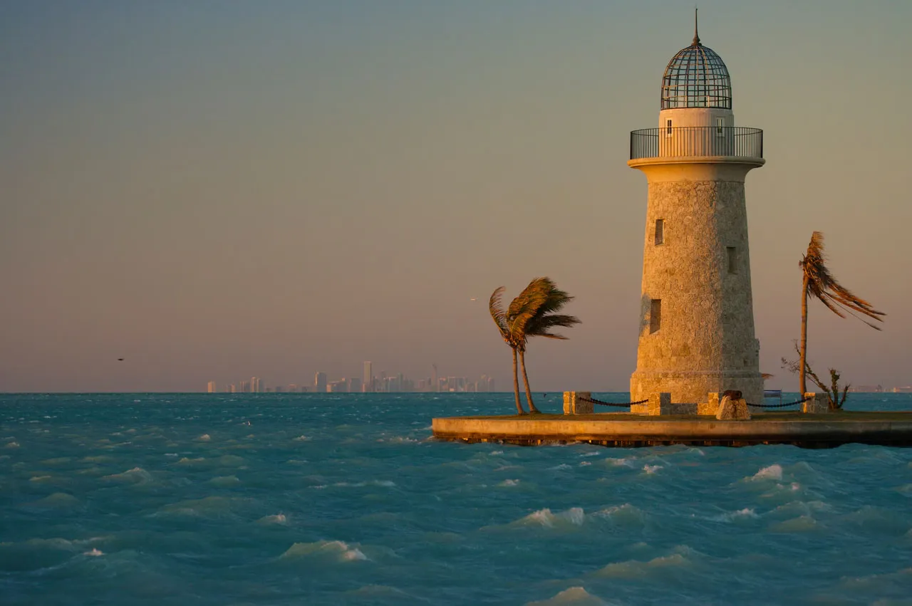 Biscayne National Park is where you can explore a vast array of native fish species
