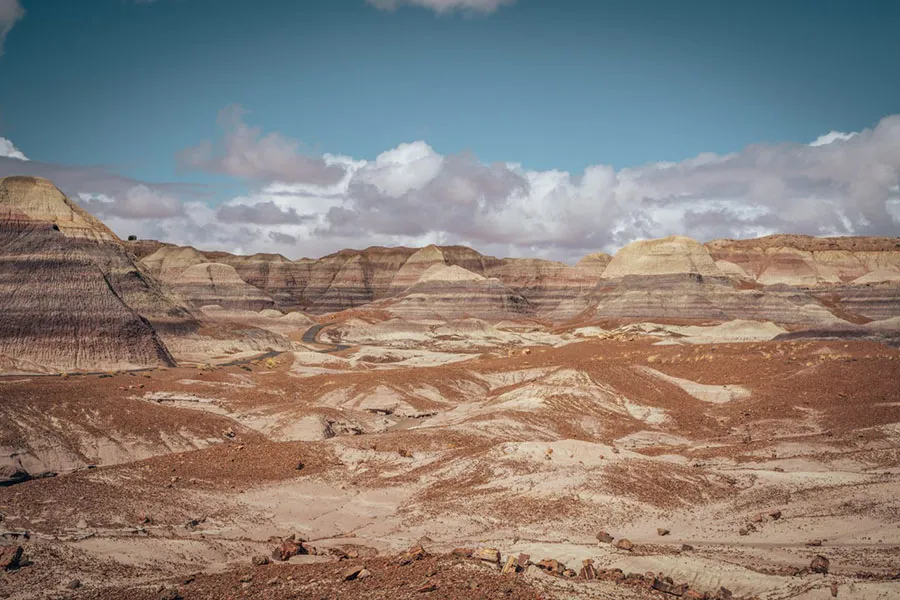 Petrified Forest National Park