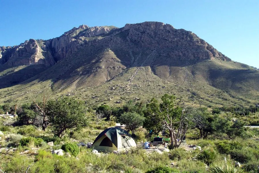 Pine Springs Campground is a great place to stay while exploring the park