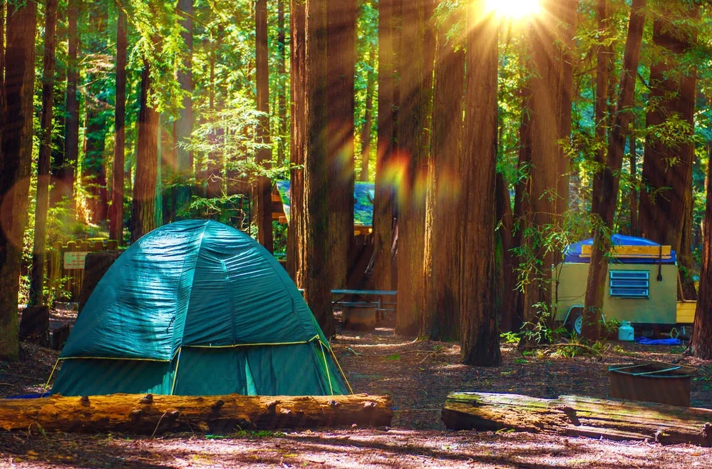 Escapees RV Club in Redwood National and State Parks