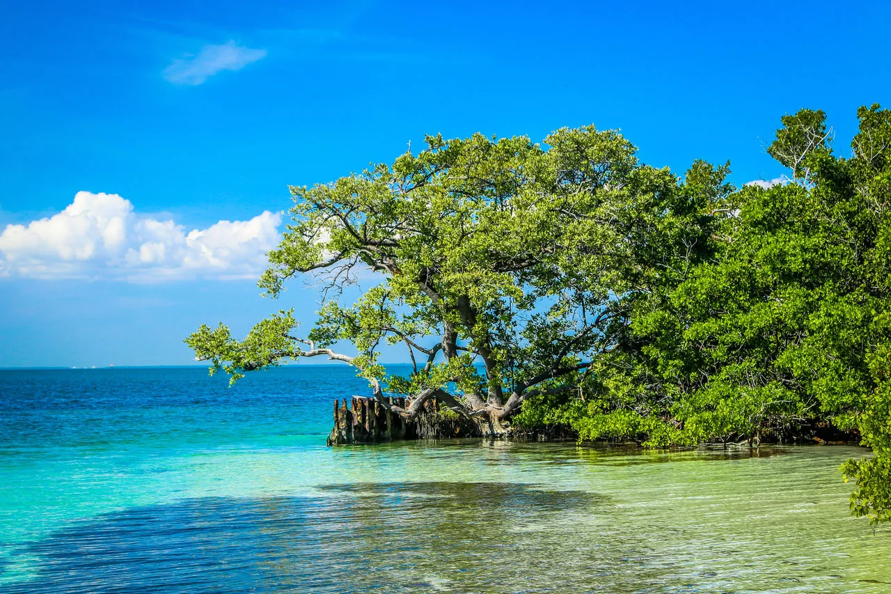 Biscayne National Park is the 39th most visited national park out of 61