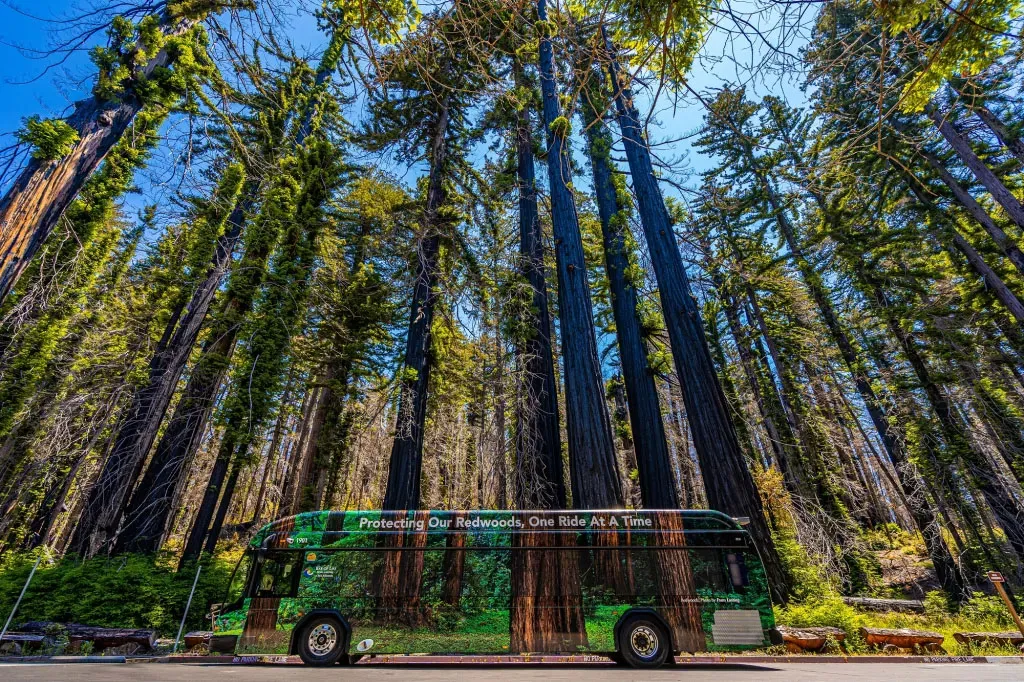 Shuttle services in Redwoods National and State Parks