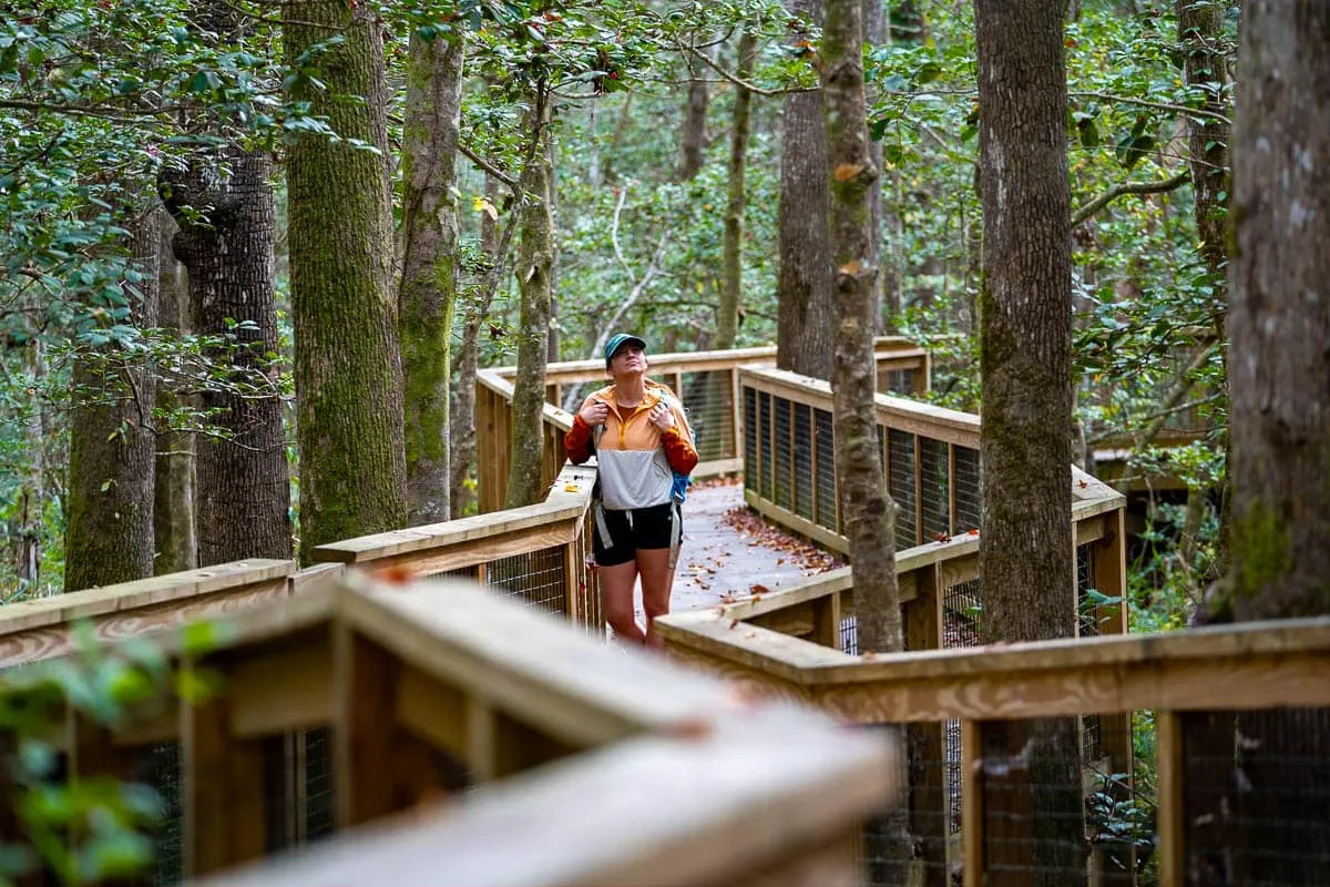 Explore Congaree National Park's network of hiking trails