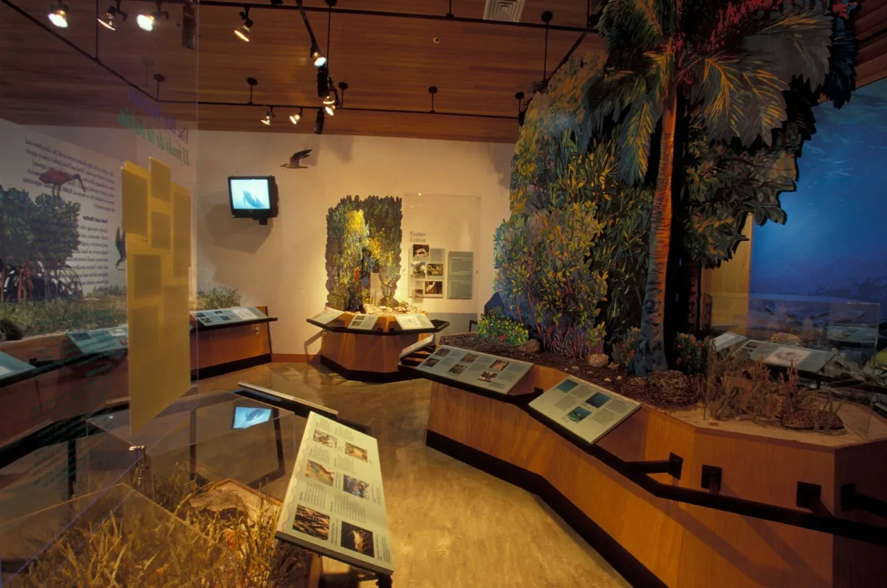 The gallery and museum