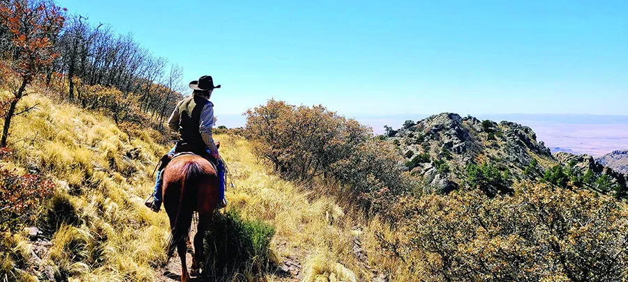 Horseback Riding in Guadalupe Mountains National Park