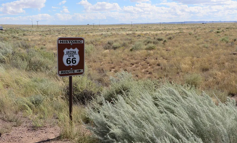 Petrified Forest- Route 66 - Geocache of the Week