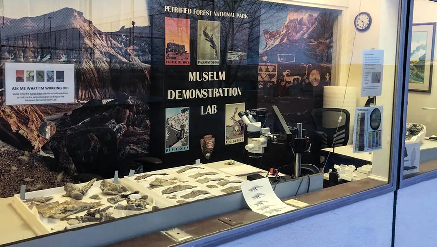 Museum Demonstration Lab